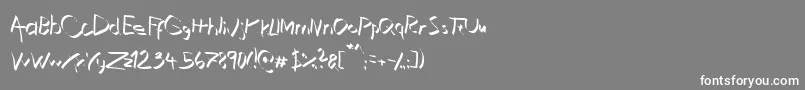 XaligraphyThin Font – White Fonts on Gray Background