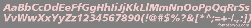 ForeignerBolditalicBolditalic Font – Pink Fonts on Gray Background