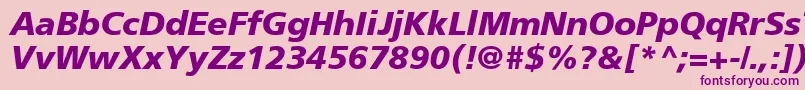 ForeignerBolditalicBolditalic Font – Purple Fonts on Pink Background