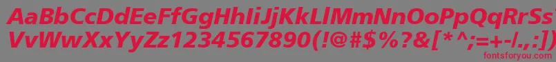 フォントForeignerBolditalicBolditalic – 赤い文字の灰色の背景