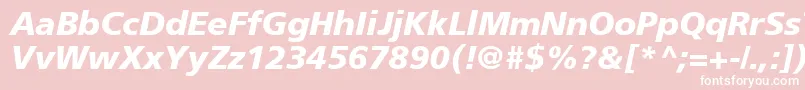ForeignerBolditalicBolditalic Font – White Fonts on Pink Background
