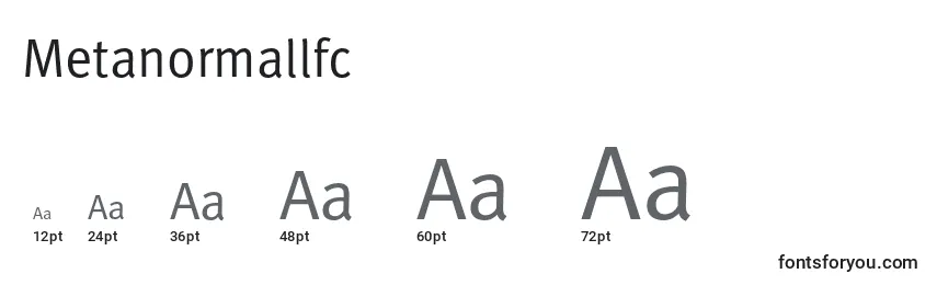 Metanormallfc Font Sizes