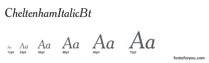 CheltenhamItalicBt Font Sizes