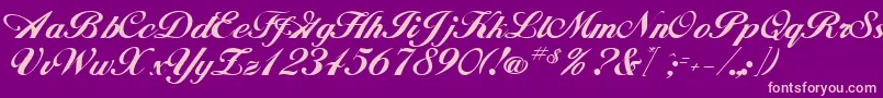 JohnhancockRegular Font – Pink Fonts on Purple Background