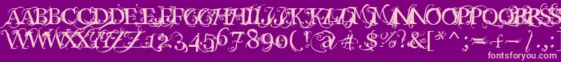 Macabra ffy Font – Pink Fonts on Purple Background