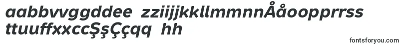 Czcionka MetronTextProBoldItalic – uzbeckie czcionki