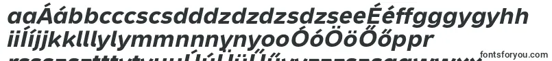 MetronTextProBoldItalic-Schriftart – ungarische Schriften