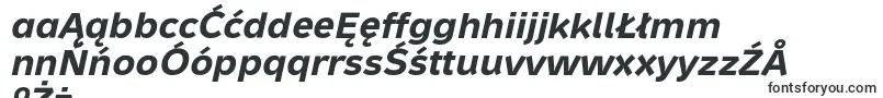 Шрифт MetronTextProBoldItalic – польские шрифты