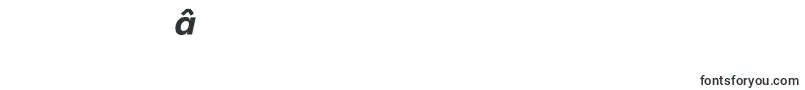 MetronTextProBoldItalic-Schriftart – hebräische Schriften