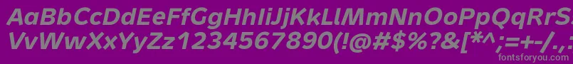 MetronTextProBoldItalic Font – Gray Fonts on Purple Background