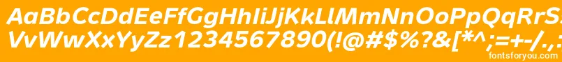 フォントMetronTextProBoldItalic – オレンジの背景に白い文字