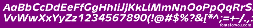 MetronTextProBoldItalic Font – White Fonts on Purple Background