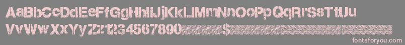 フォントCitystencil – 灰色の背景にピンクのフォント
