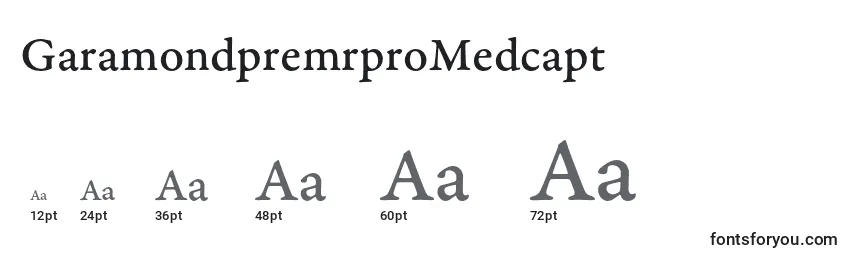 Tamaños de fuente GaramondpremrproMedcapt