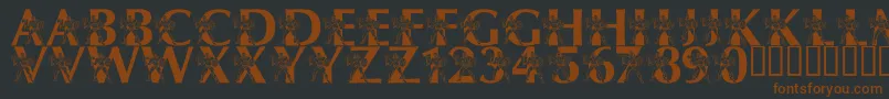 LmsByThePowerOfGrayskull Font – Brown Fonts on Black Background