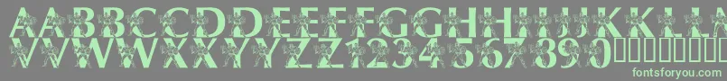 LmsByThePowerOfGrayskull Font – Green Fonts on Gray Background