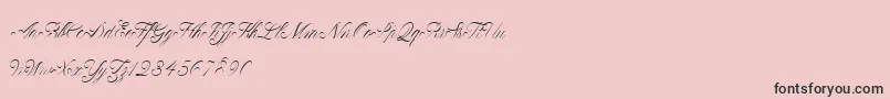 ClaudyaDemo-Schriftart – Schwarze Schriften auf rosa Hintergrund