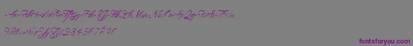 ClaudyaDemo-Schriftart – Violette Schriften auf grauem Hintergrund