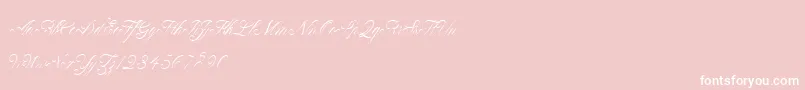 ClaudyaDemo Font – White Fonts on Pink Background