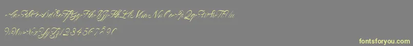 ClaudyaDemo-Schriftart – Gelbe Schriften auf grauem Hintergrund