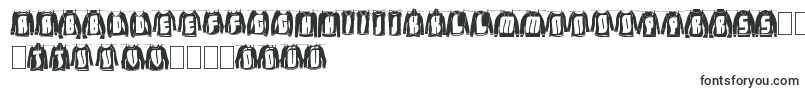 LaundryDay Font – Estonian Fonts