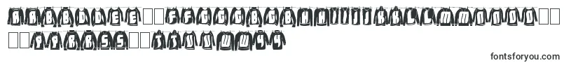 Шрифт LaundryDay – йоруба шрифты