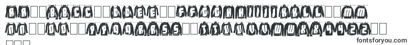 Weitere Informationen zur LaundryDay-Schriftart LaundryDay-Schriftart – polnische Schriften