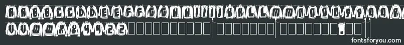 LaundryDay Font – White Fonts on Black Background