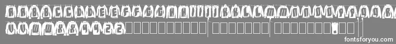 LaundryDay Font – White Fonts on Gray Background