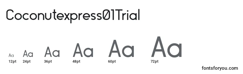 Coconutexpress01Trial Font Sizes