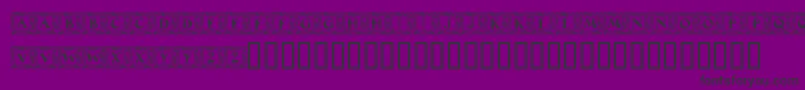 MaximilianAntiquaInitialen Font – Black Fonts on Purple Background