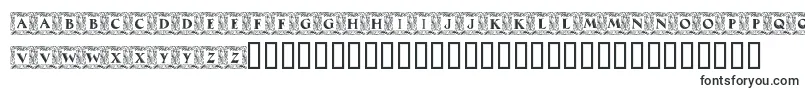 MaximilianAntiquaInitialen Font – Fonts for Corel Draw