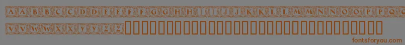 MaximilianAntiquaInitialen Font – Brown Fonts on Gray Background