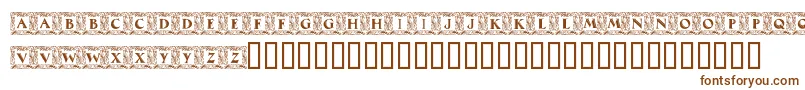 MaximilianAntiquaInitialen Font – Brown Fonts on White Background