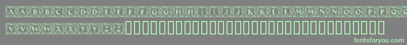 MaximilianAntiquaInitialen Font – Green Fonts on Gray Background