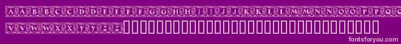 MaximilianAntiquaInitialen Font – Pink Fonts on Purple Background