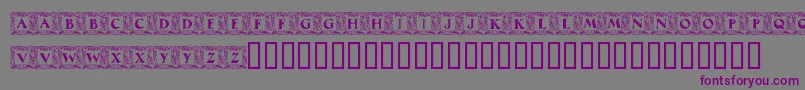 MaximilianAntiquaInitialen Font – Purple Fonts on Gray Background