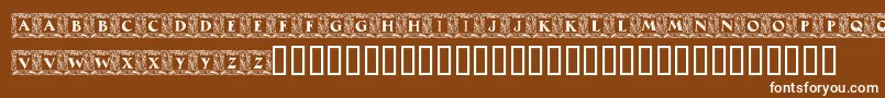 MaximilianAntiquaInitialen Font – White Fonts on Brown Background