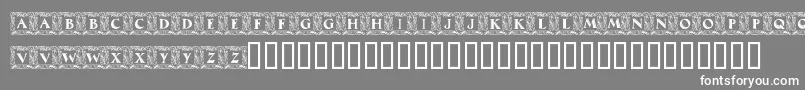 MaximilianAntiquaInitialen Font – White Fonts on Gray Background
