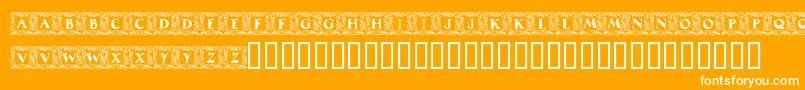 Weitere Informationen zur MaximilianAntiquaInitialen-Schriftart MaximilianAntiquaInitialen-Schriftart – Weiße Schriften auf orangefarbenem Hintergrund