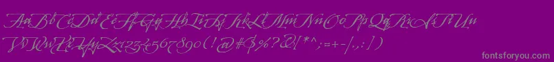 Шрифт ArcanagmmstdManuscript – серые шрифты на фиолетовом фоне