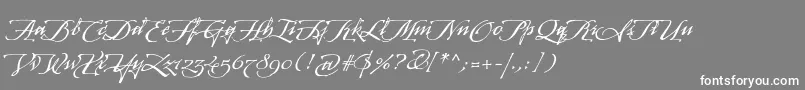 フォントArcanagmmstdManuscript – 灰色の背景に白い文字