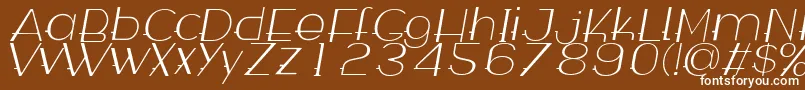 WabecoThinItalic Font – White Fonts on Brown Background