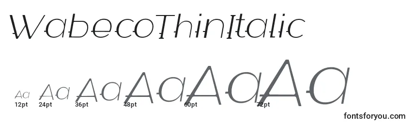 WabecoThinItalic Font Sizes