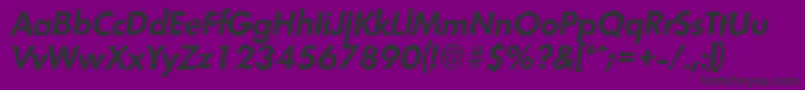 LimerickrandomBolditalic Font – Black Fonts on Purple Background