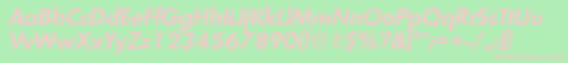 LimerickrandomBolditalic Font – Pink Fonts on Green Background