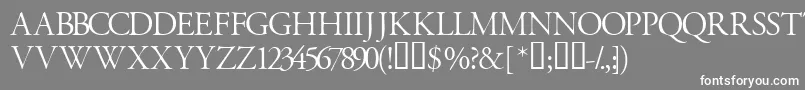 フォントGaramondtitlingcapsssk – 灰色の背景に白い文字