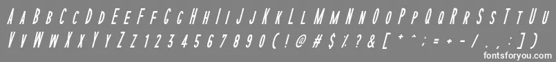フォントSophisticatedSlimsRegularItalic – 灰色の背景に白い文字