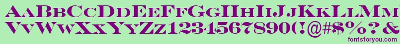 ASeriferexpcpsBold Font – Purple Fonts on Green Background