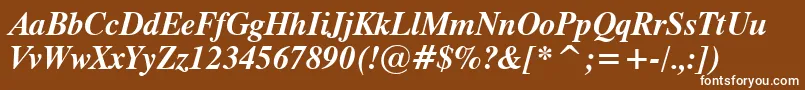 Dutch801BoldItalicTl Font – White Fonts on Brown Background